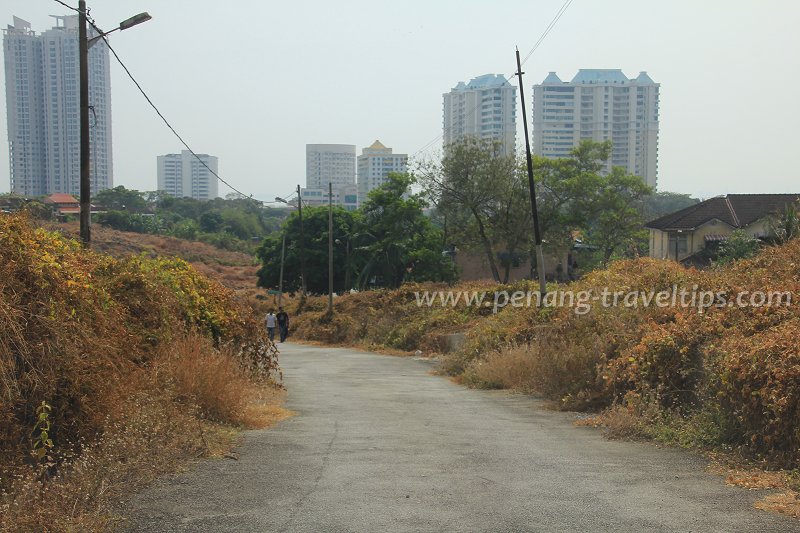 Lebuh Halia 1, Mount Erskine