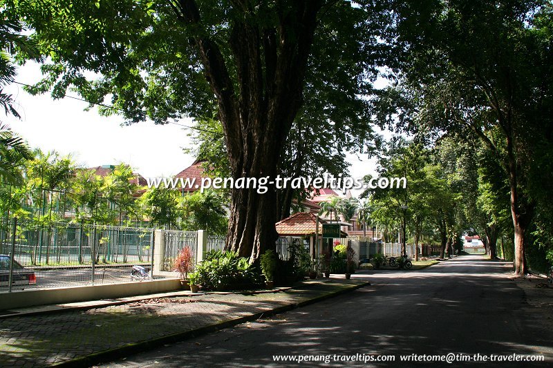 Lim Mah Chye Road, George Town, Penang