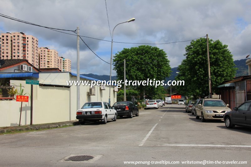 Lorong Gemang, Jelutong