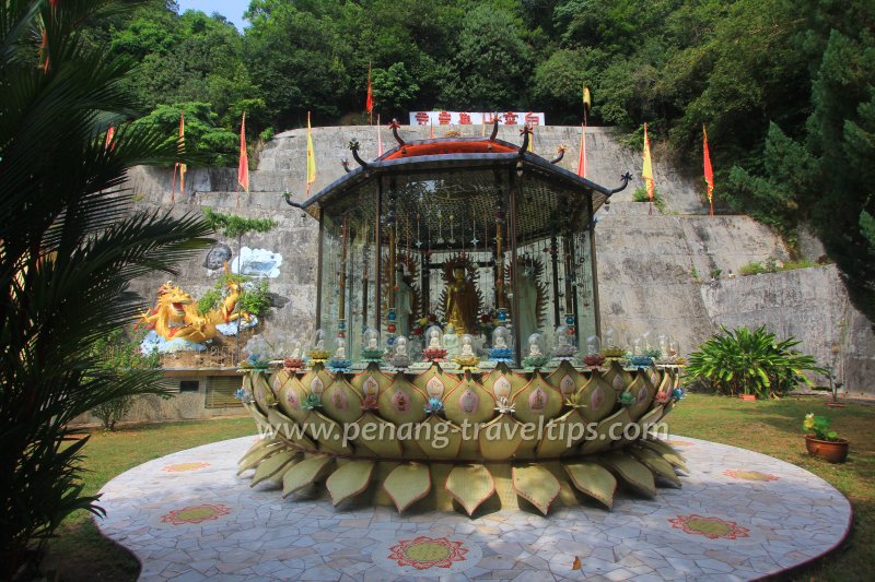 A lotus feature at the garden at Kuan Yim See