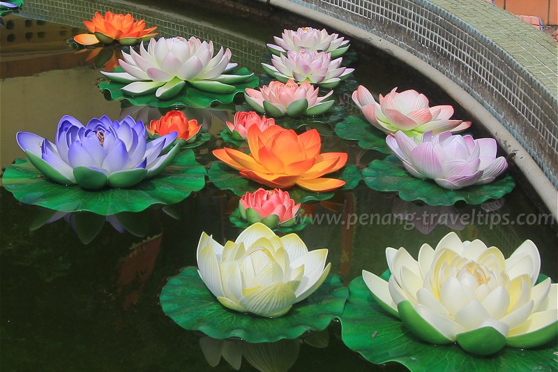 Artificial lotus, Kuan Yim See