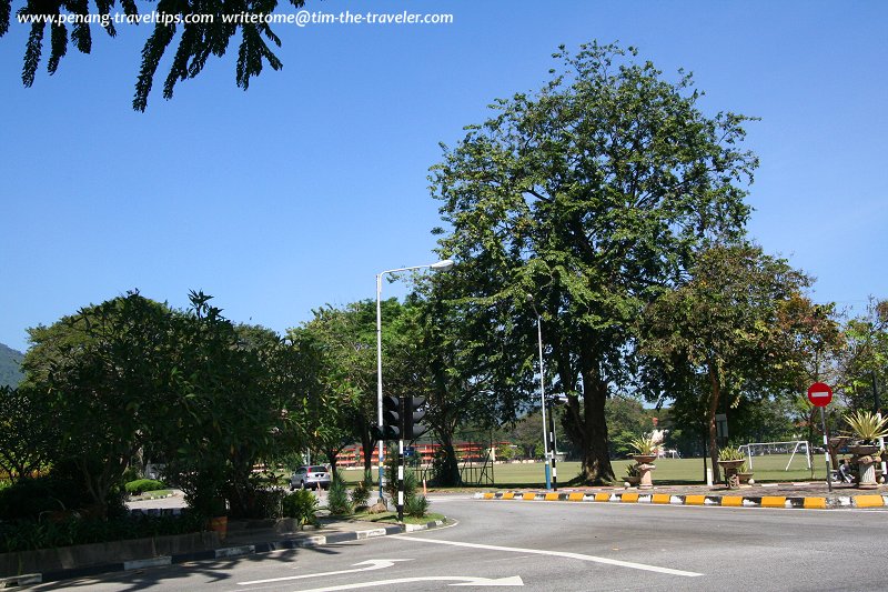 Ross Road, George Town