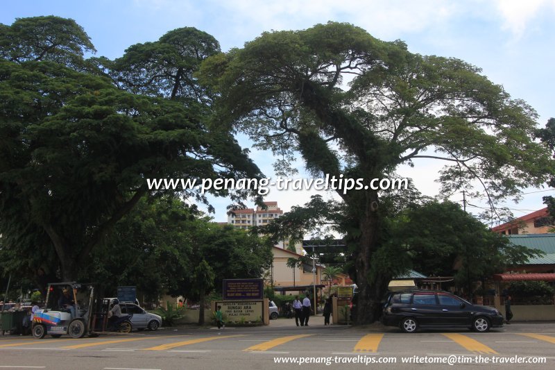 Sekolah Kebangsaan Sungai Ara