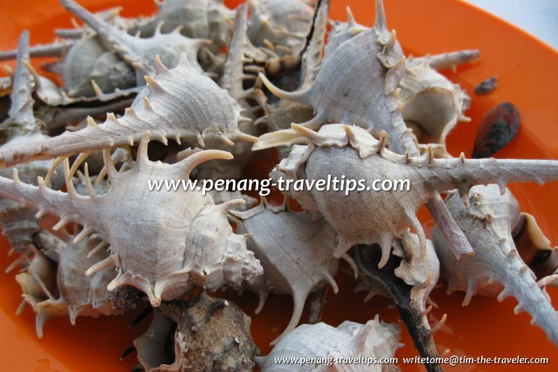 Spiky-shell mussels at Good Friend Seafood