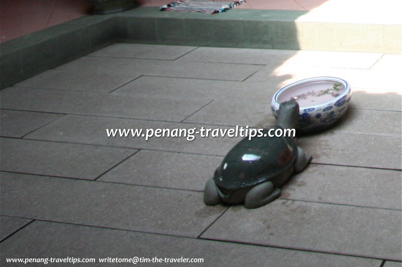 The stone tortoise at the Hock Teik Soo Temple air well
