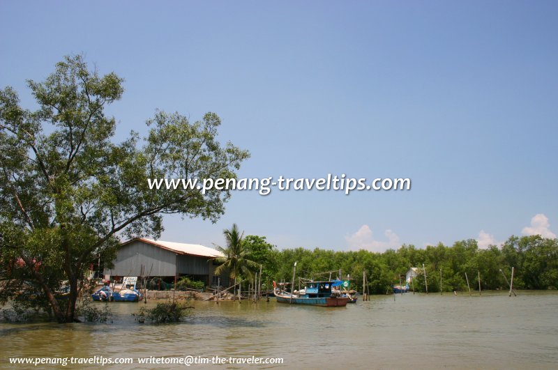 Sungai Pinang, Balik Pulau