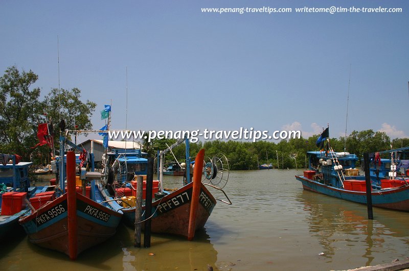 Sungai Pinang, Balik Pulau