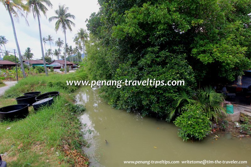 Sungai Samagagah, Balik Pulau