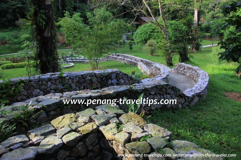 Path at the Bambusetum